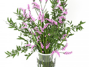 bouquet of limonium Modello 3D