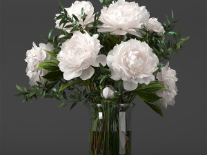 bouquet of white pions 3D Модель