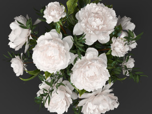bouquet of white pions Model 3D