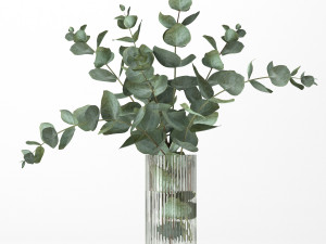 bouquet of eucalyptus branches Modèle 3D