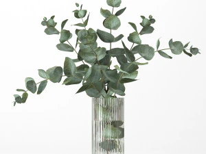 नीलगिरी की शाखाओं का गुलदस्ता 3D मॉडल