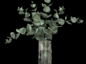 bouquet of eucalyptus branches 3Dモデル