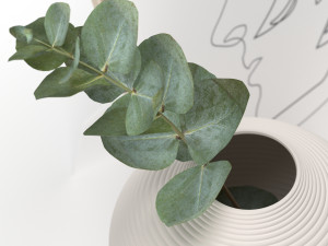 bouquet of eucalyptus branches in the white jar 3D मॉडल