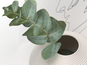 bouquet of eucalyptus branches in the white jar 3D Model