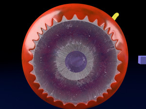 Age-related macular degeneration AMD ARMD detailed labelled animated model 3D Modello 3D
