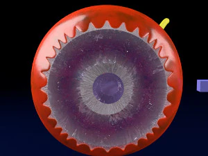 Age-related macular degeneration AMD ARMD detailed labelled animated model 3D 3D Model