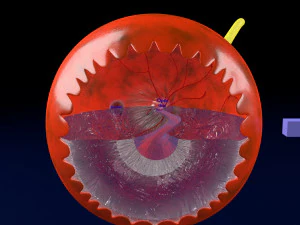 Age-related macular degeneration AMD ARMD detailed labelled animated model 3D 3D Model