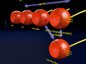 Age-related macular degeneration AMD ARMD detailed labelled animated model 3D Modello 3D