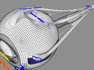 Age-related macular degeneration AMD ARMD detailed labelled animated model 3D 3D Model