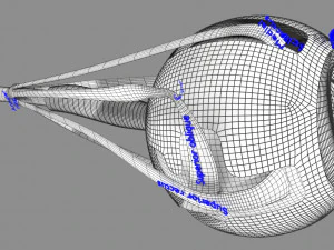 Age-related macular degeneration AMD ARMD detailed labelled animated model 3D 3D Model
