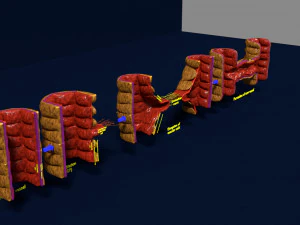 3D Angiogenesis 3D Model
