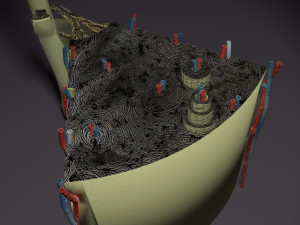 Bone histology anatomy 3D Model 3D