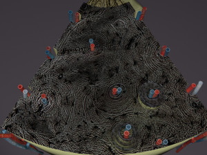 Bone histology anatomy 3D Model 3D