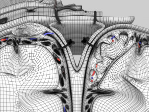 Brain hemorrhage types model Modelo 3D