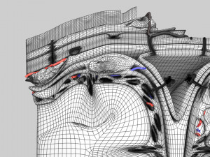 Brain hemorrhage types model Modelo 3D