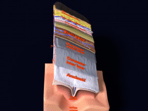 Brain with meninges scalp detailed labelled 3D 3D Модель