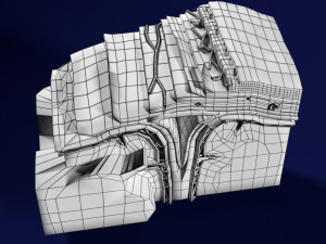 Brain with meninges scalp detailed labelled 3D 3D Модель