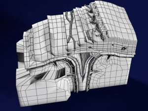 Brain with meninges scalp detailed labelled 3D 3D Model
