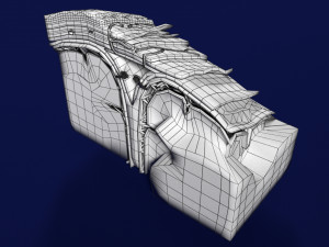 Brain with meninges scalp detailed labelled 3D 3D Модель