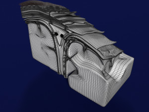 Brain with meninges scalp detailed labelled 3D 3D Модель