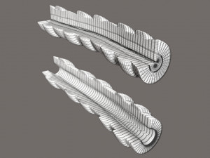3D Asthma bronchiole obstruction model 3D 模型