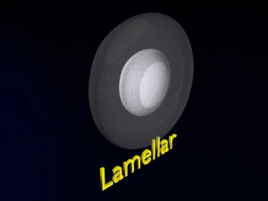 Cataract eye lens types detailed animated 3D Model