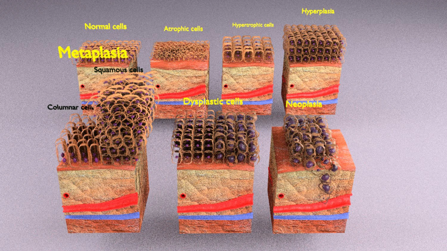 Adaptation cellulaire 3D Modèle 3D .c4d .max .obj .3ds .fbx .stl .blend 