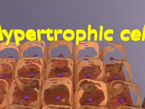 3D cell adaptation 3D-Modell