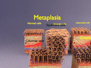 3D cell adaptation 3D-Modell