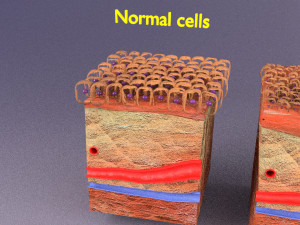 3D cell adaptation 3D-Modell