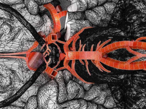 Cerebral aneurysms berry circle of willis Model 3D