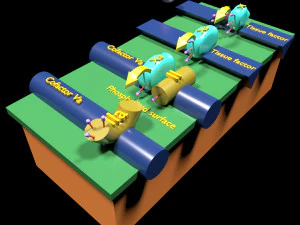 3D COAGULATIE CASCADE GEMEENSCHAPPELIJKE PAD 3D Model