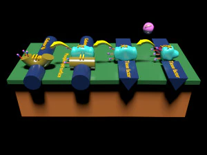 3D COAGULATION CASCADE COMMON PATHWAY 3D Model