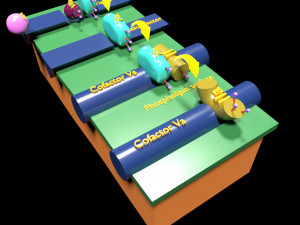 3D COAGULATION CASCADE COMMON PATHWAY 3D मॉडल