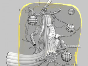 3D connective tissue elements labelled Modello 3D