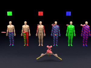 Spinal cord injuries and its various sensory and motor signs 3D Модель