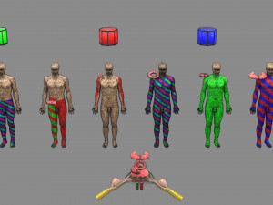Spinal cord injuries and its various sensory and motor signs 3D Модель