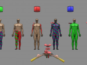 Spinal cord injuries and its various sensory and motor signs 3D Модель