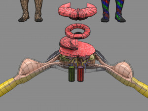 Spinal cord injuries and its various sensory and motor signs 3D Модель
