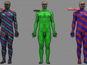 Spinal cord injuries and its various sensory and motor signs 3D Модель