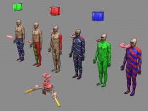 Spinal cord injuries and its various sensory and motor signs 3D Модель