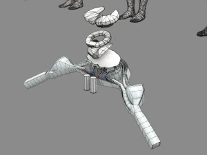 Spinal cord injuries and its various sensory and motor signs 3D Model