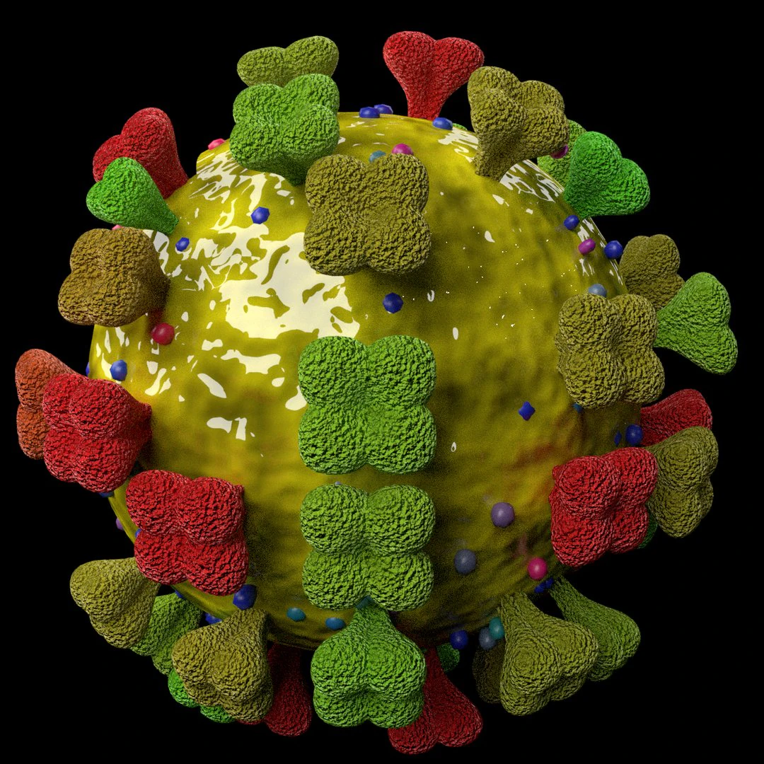 3D corona virus detail labelled cut section model 3D Model .c4d .max .obj .3ds .fbx .stl .blend 