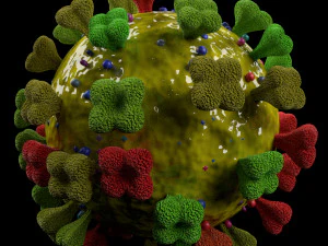 3D corona virus detail labelled cut section model 3D Model