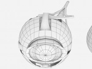 Diabetic eye diseases model 3D Model