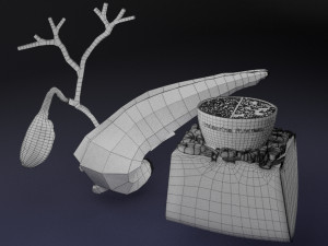 Diabetes pancreas anatomy microscopy islet beta insulin model Modelo 3D