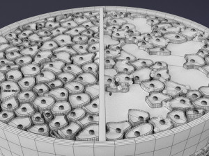 Diabetes pancreas anatomy microscopy islet beta insulin model Modelo 3D