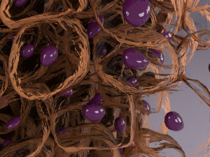 Epithelial cells types collection 3D Modelo 3D