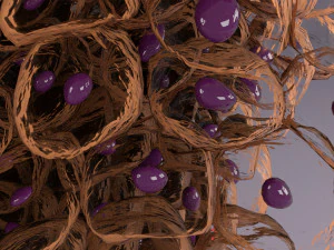Epithelial cells types collection 3D 3D Model