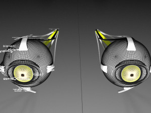 Eye anatomy cut open detail labelled 3D 3Dモデル